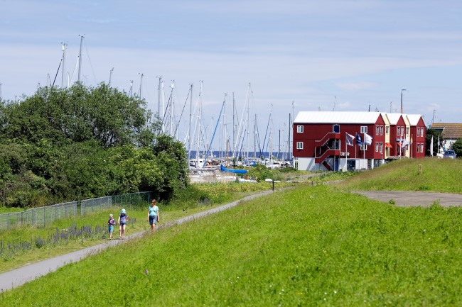 Natuurfoto Flevoland